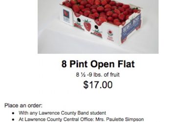 LCHS BAND KICKING OFF STRAWBERRY SALE FUND RAISER