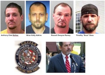 NINE BUSTED IN WAYNE COUNTY DURING DRUG, TIMBER THEFT SWEEP