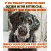 Pet Safe: safety dog freezing