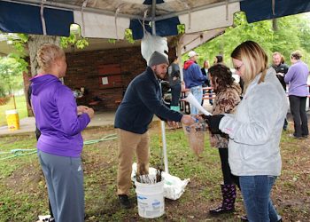 Volunteers worked under a canopy in Ashland’s Central Park to sort and hand out trees during the annual Arbor Day tree giveaway in 2017. Nearly 2,900 seedlings were distributed to area residents. The seedlings included dogwood, pawpaw, persimmon, red oak, shagbark hickory and Kentucky Coffeetree.]