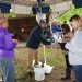 Volunteers worked under a canopy in Ashland’s Central Park to sort and hand out trees during the annual Arbor Day tree giveaway in 2017. Nearly 2,900 seedlings were distributed to area residents. The seedlings included dogwood, pawpaw, persimmon, red oak, shagbark hickory and Kentucky Coffeetree.]