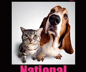 FEBRUARY IS SPAY/NEUTER AWARENESS MONTH