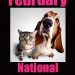 FEBRUARY IS SPAY/NEUTER AWARENESS MONTH