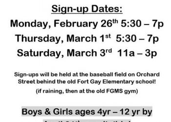 TOLSIA YOUTH BASEBALL SIGNUPS START MONDAY, MARCH 26