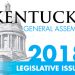 A LOOK AT SOME OF THE NEW LAWS PASSED DURING THE KENTUCKY GENERAL ASSEMBLY 2018 REGULAR SESSION