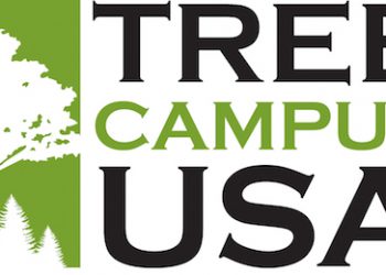 ANNUAL ARBOR DAY SEEDLING GIVEAWAY IS APRIL 21