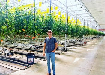 Solar-power professional Jonathan Webb says he will bring about 600 jobs to Central Appalachia with high-tech mountaintop greenhouses