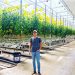 Solar-power professional Jonathan Webb says he will bring about 600 jobs to Central Appalachia with high-tech mountaintop greenhouses