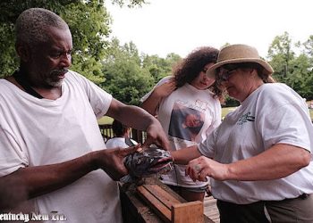 Elusive catfish 'Big Jeff' caught after 19 years