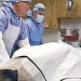 Four new Pathologists will be added