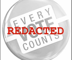 JOBE EXPLAINS REDACTION OF HINKLE/MUSIC DEMOCRAT VOTES