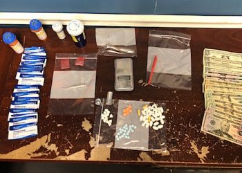 Louisa Police Sgt. Steve Wilburn found more than he was looking for during an arrest of a Martin County woman shopping at Wal-Mart. Several different drugs were discovered during the search which included K-9 Kenya.