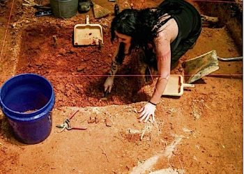 ANGELA GERVASI agervasi@herald-leader.com Ashley Williams, a student at Eastern Kentucky University, digs through an archaeological site as part of a six-week intensive course.