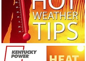 SUNDAY POWER OUTAGE IN LOUISA CAUSED BY TREE FALL ON LINES