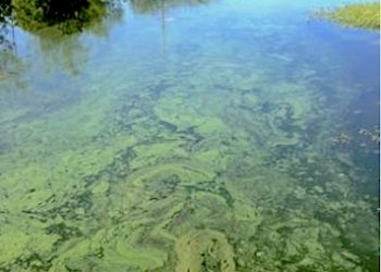 HOLIDAY WATER RECREATION TIPS ISSUED FROM PUBLIC HEALTH, DIVISION OF WATER