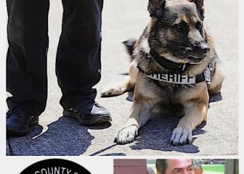THOMPSON TO BRING IN K-9 UNIT TO WAYNE COUNTY
