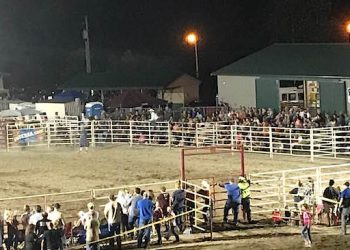 RODEO CROWD 2018 (Fair board photo)