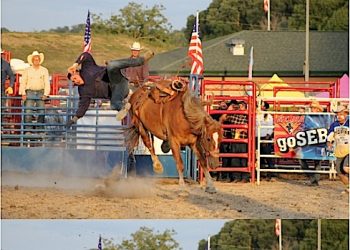 YEE HAW! LAWRENCE CO. FAIR RODEO DRAWS THOUSANDS