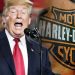 HARLEY RIDER SAYS TRUMP IS RIGHT ON TARIFFS AND MOTORCYCLE MAKER ISN’T