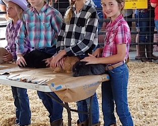 ‘OLD FASHIONED’ FAIR BOARD SAYS EVENT WAS A ‘SUCCESS’ IN 2018