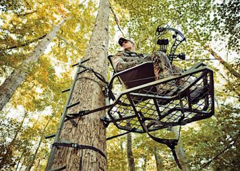 ART LANDER’S OUTDOORS: 2018-19 KENTUCKY DEER SEASON PREVIEW; JOB #1 — HARVEST MORE DOES