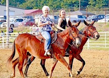 Fay Newton, 90, rides her mule at the Hancock County Fair.