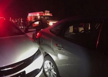 A four car pileup resulted in the death of a horse that had gotten loose and was galloping down the wrong way on U.S. 23 last night.