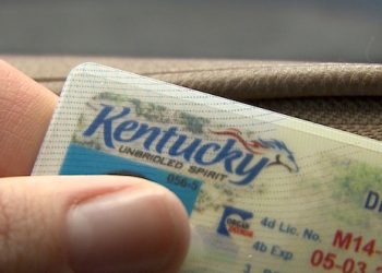 new "voluntary travel ID" is expected to roll out in early 2019. That ID will allow residents to fly domestically, access restricted federal facilities like power plants and military bases and drive in the state