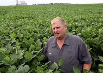 Soybean farmer Ryan Bivens has a farm in Hodgenville, Ky. He says that he is willing to see the long term affects of tariffs on his operation although he expects to have some short term issues. Aug. 15, 2018 (Photo: Sam Upshaw Jr./Courier Journal)