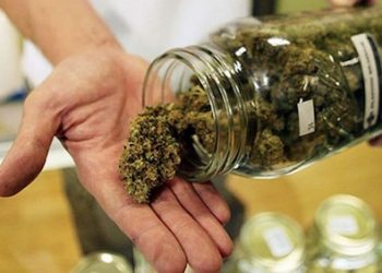 Medical marijuana supporters pitch lawmakers