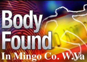 MINGO COUNTY MAN FOUND DEAD IN HOME