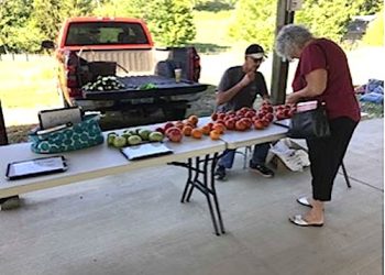 IT’S BEEN A GREAT YEAR FOR LAWRENCE COUNTY FARMER’S MARKET AND LOCAL CONSUMERS