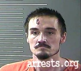 HIGHER THAN THE REAR END OF A GIRAFFE!