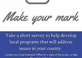MAKE YOUR MARK…for community programs assessment