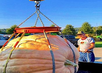 FORT GAY MAN HAS NEW WV  RECORD FOR ‘BIGGEST PUMPKIN’