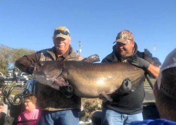 KY. MAN HAULS IN STATE-RECORD BLUE CATFISH