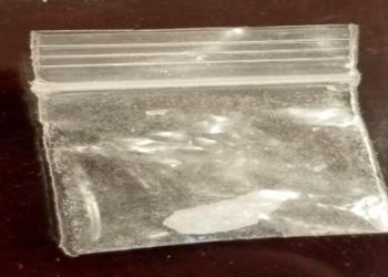 WAYNE CO. KINDERGARTNER BRINGS DRUGS TO SCHOOL