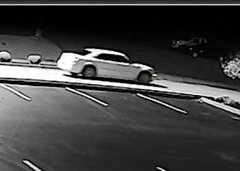 LOUISA POLICE CHIEF ASKS PUBLIC FOR HELP