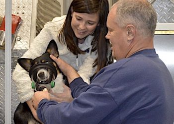 BUSINESS DONATES TWO PET MASK BREATHING KITS