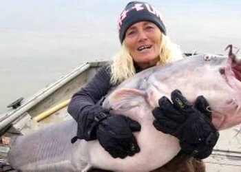 WOMAN CATCHES 88-POUND CATFISH ON KENTUCKY LAKE