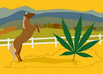 SENATE BILL WOULD DECRIMINALIZE POSSESSION OF MARIJUANA