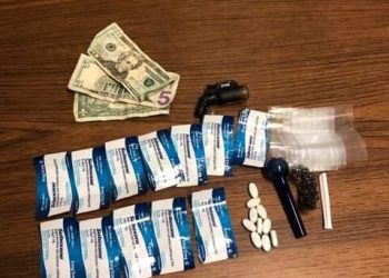 KERMIT COUPLE ARRESTED IN LOUISA FOR DISTURBING THE PEACE in ‘PROVOCATIVE MANNER’