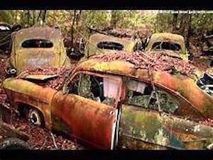 GROWING UP IN LOUISA:   Junk cars