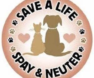 SPAY/NEUTER AWARENESS MONTH IS FEBRUARY