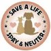 SPAY/NEUTER AWARENESS MONTH IS FEBRUARY