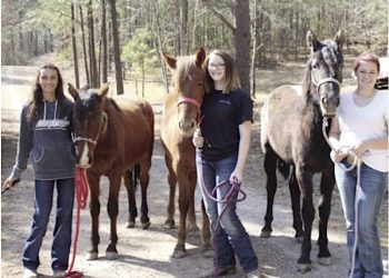 KY. TEENS TRAINING WILD MUSTANGS FOR NATIONAL COMPETITION