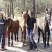 KY. TEENS TRAINING WILD MUSTANGS FOR NATIONAL COMPETITION