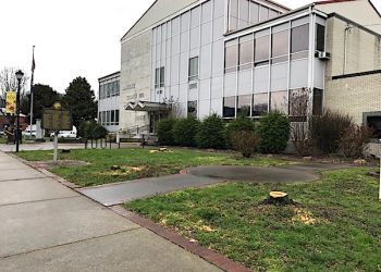 LAZER Q&A FOR THE DAY: WHO CUT THE COURTHOUSE TREES?