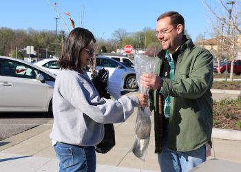 KENTUCKY POWER TO DISTRIBUTE FREE LOW-GROWTH SAPLINGS 
