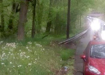 STEPPTOWN WOMAN DIES IN CAR CRASH